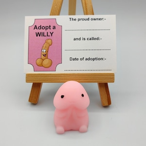 Adopt A Willy, Stress Relief Toy, Pink Pecker, Novelty, Fun, Gag Gifts, Hen Favors, Favours, Joke, Hen Party, Willy Adoption Kit, Parties
