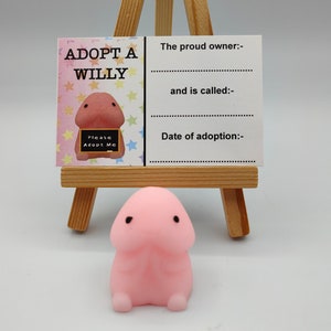 Adopt A Willy, Stress Relief Toy, Pink Peckers, Novelty, Fun, Secret Santa, Hen Party Favors, Favours, Cheeky, Willy Adoption, Bride Party
