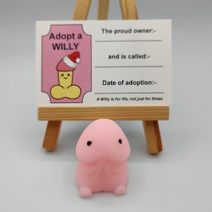 Xmas Adopt A Willy, Stress Relief Toy, Pink Pecker, Novelty, Fun, Gag Gifts, Hen Favors, Favours, Joke, Willy Adoption Kit, Cheeky Presents