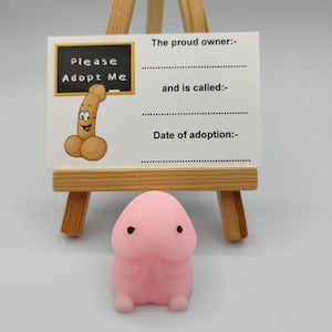 Adopt A Willy, Stress Relief Toy, Pink Pecker, Novelty, Fun, Gag Gifts, Hen Favors, Favours, Joke, Hen Party, Willy Adoption Kit Bride Party