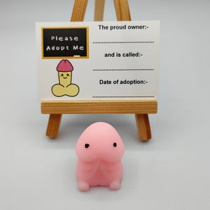 Adopt A Willy, Stress Relief Toy, Pink Pecker, Novelty, Fun, Gag Gifts, Hen Favors, Favours, Joke, Hen Party, Willy Adoption, Bride Party