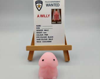 Wanted A Willy, Stress Relief Toy, Pink Peckers, Novelty, Fun, Secret Santa, Hen Party Favors, Favours, Cheeky, Willy Adoption, Bride Party