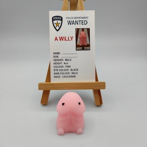 Wanted A Willy, Stress Relief Toy, Pink Peckers, Novelty, Fun, Secret Santa, Hen Party Favors, Favours, Cheeky, Willy Adoption, Bride Party