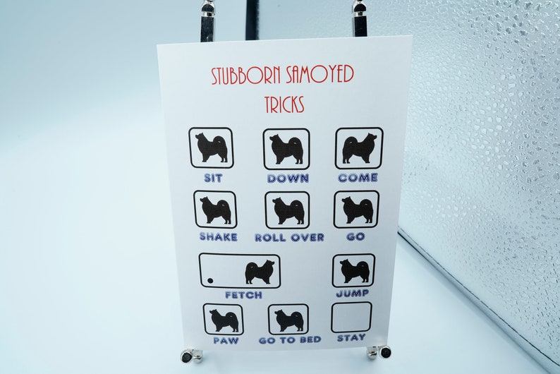 May include: A white poster with the text "Stubborn Samoyed Tricks" and a grid of black silhouettes of Samoyed dogs with text below each dog, including "Sit", "Down", "Come", "Shake", "Roll Over", "Go", "Fetch", "Jump", "Paw", "Go to Bed", and "Stay".