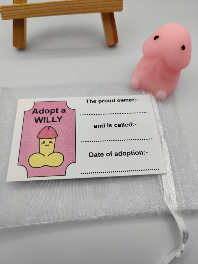 Adopt A Willy, Stress Relief, Stocking Fillers, Novelty, Fun, Secret Santa, Hen Party Favors, Favours, Cheeky, Willy Adoption, Bride Party image 8