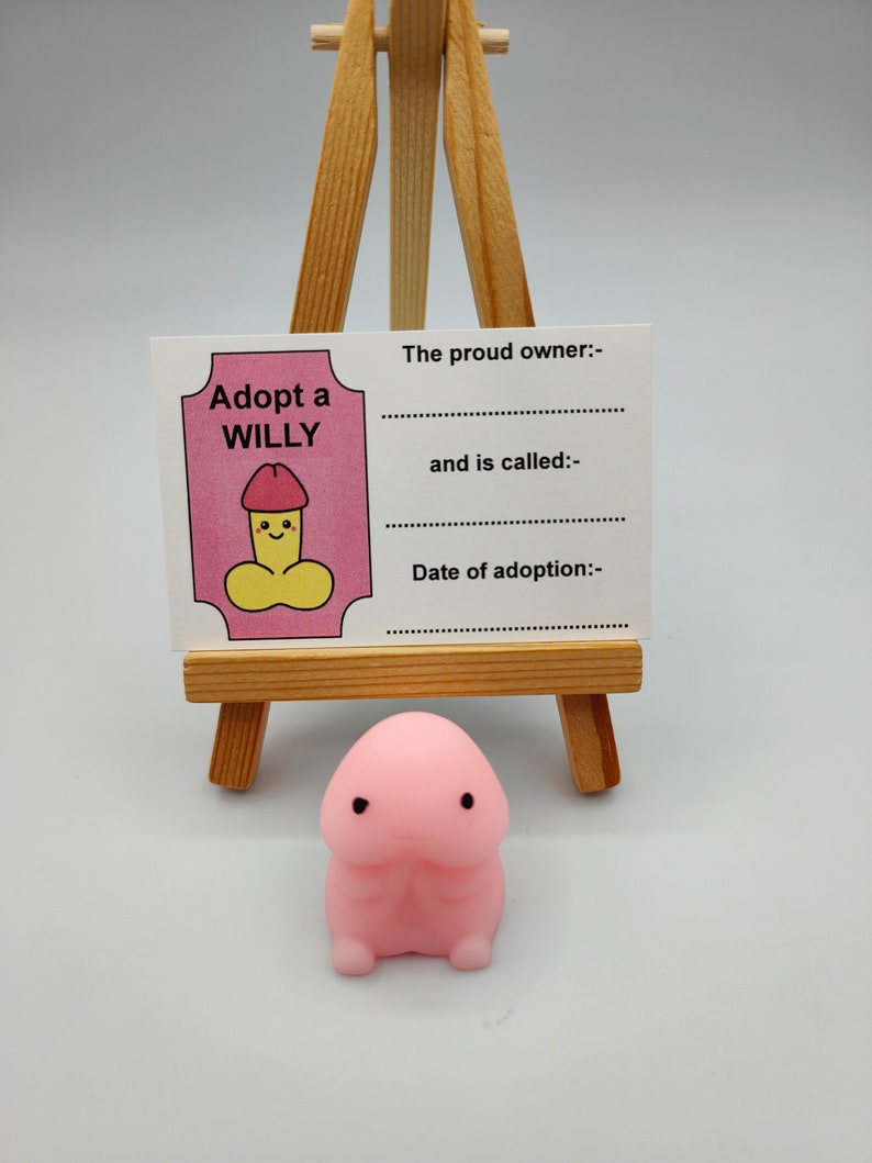 Adopt A Willy, Stress Relief, Stocking Fillers, Novelty, Fun, Secret Santa, Hen Party Favors, Favours, Cheeky, Willy Adoption, Bride Party image 2