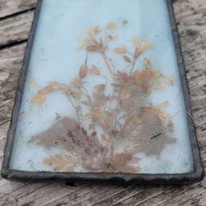 Vintage dried flower picture,  Flower frame, Dried flowers