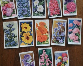 Vintage cigarette cards, Flowers, Wills Cigarette cards