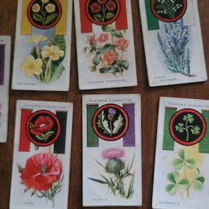 Vintage cigarette cards, Boy scout cards, Flower cigarette cards