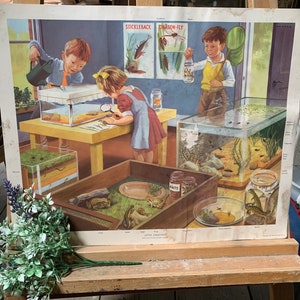 Foto escolar vintage, póster retro, póster vintage, póster escolar, póster para niños de la escuela