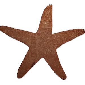 Starfish Magnet