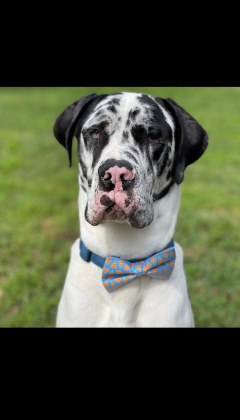 Bow Tie for Dogs,purple Ghost Dog Bow Tie, Halloween Dog Collar Bow