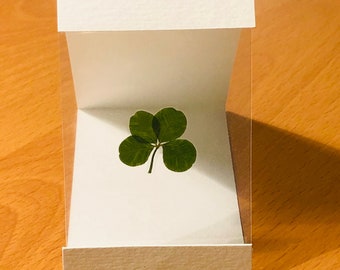 Real 4 Leaf Clover Pop-out Greeting Card, Father’s Day Present, Wedding Present, Gift for Him or Her