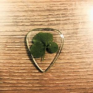 May include: A clear guitar pick with a four-leaf clover pressed inside. The clover is green and has a natural, organic look.