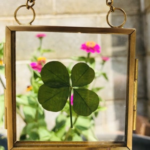 May include: A four-leaf clover encased in a small, square, gold-colored metal frame with a chain. The clover is green, and the frame is held up by a gold chain. The background features pink flowers.