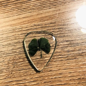 May include: A clear guitar pick with a four-leaf clover pressed inside. The clover is green and has a natural, dried appearance.
