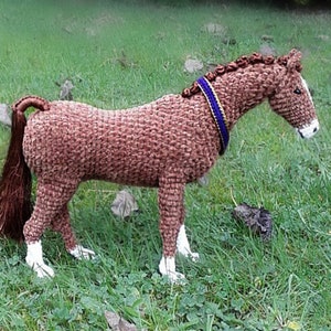 Peut inclure: Un cheval en crochet marron avec un ruban bleu et or autour du cou. Le cheval est debout sur une surface herbeuse verte.