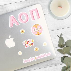 Pacchetto adesivi ALPHA OMICRON PI rosa retrò per Bid Day, Sorority Rush 2025 Merch, grande piccolo regalo