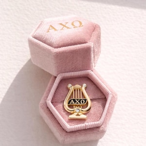 Op de afbeelding: Een goudkleurige speld in de vorm van een lier, met de letters AXO in zwart, gepresenteerd in een open roze fluwelen sieradendoosje. Op het deksel van het doosje staan ook de letters AXO in goud. De speld heeft kleine diamanten.