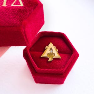 Velvet Badge Box for ALPHA GAMMA DELTA Sorority | Agd Sorority Gift | Initiation Gift | Bid Day / Big Little Gift