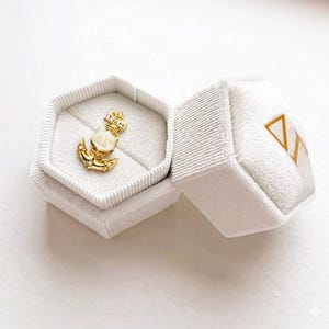 Delta Gamma Sorority Velvet Badge Box | DG Initiation, Bid Day, Big/Little Gift