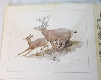 Glen Loates Print, 10" x 12", Mule Deer, Signed by Artist