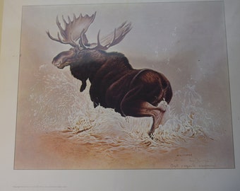 Glen Loates Print, 10" x 12", Moose, Signed by Artist