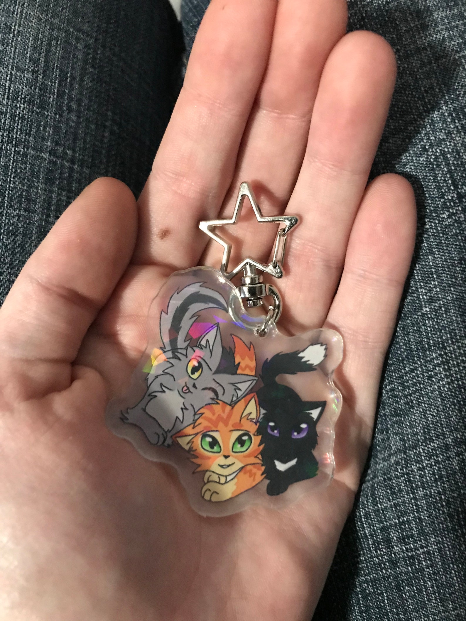 Warrior Cat Keychains Etsy