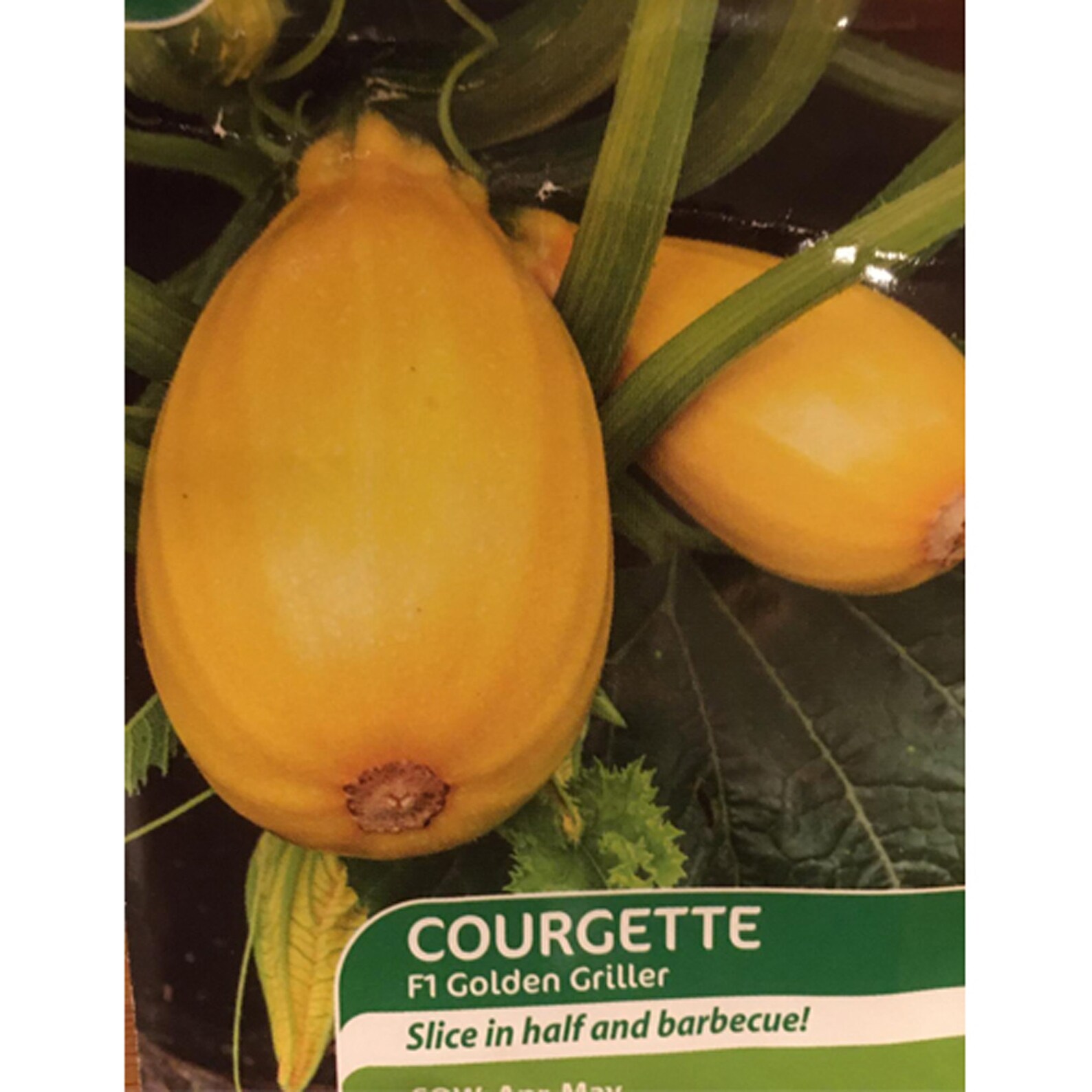 Yellow Courgette Seeds Zucchini Seeds F1 Golden Griller Etsy