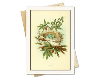 Vintage Note Cards - 1850s Botanical Art - Set of 8, 12 or 25!