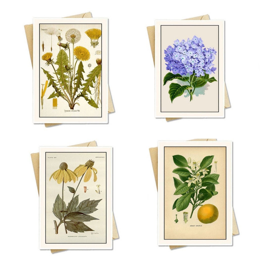 4-sets-of-vintage-note-cards-4-sets-of-8-blank-cards-w-etsy-norway