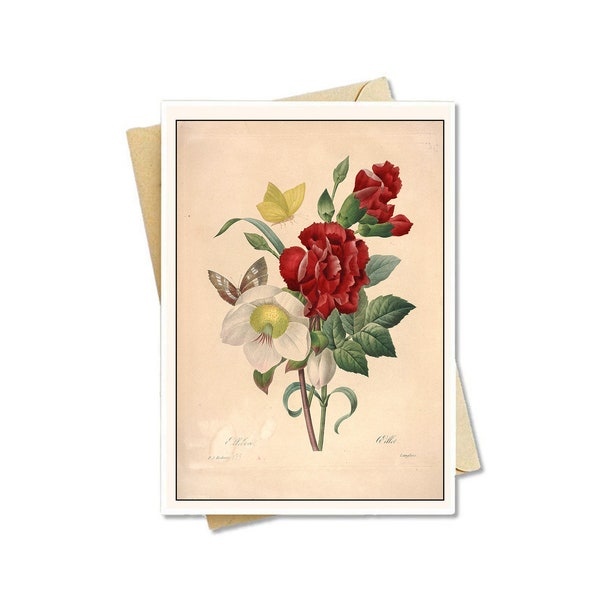 Vintage Note Cards - 1850s botanical art - Set of 8, 12 or 25!