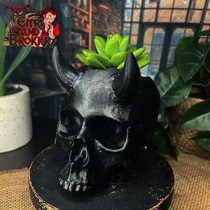 Peut inclure: Un pot de fleurs en forme de crâne noir avec des cornes, contenant une petite plante succulente verte. Le pot est fait d'un matériau noir mat lisse et présente un design de crâne détaillé.