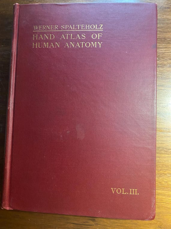 医学本　人解剖学ハンドアトラス　ヴェルナー・シュパルテホルツ著 Hand Atlas of Human Anatomy by Spalteholz, Werner: Fine Full