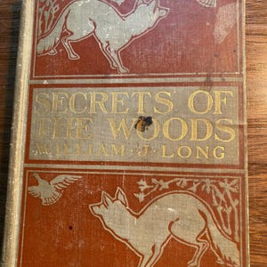 May include: A vintage book titled "Secrets of the Woods" by William J. Long. The cover features a red background with a stylized illustration of a fox and a bird in flight.