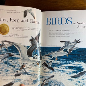 Water-, prooi- en wildvogels van Noord-Amerika - Alexander Wetmore - 1965 - 329 soorten in kleur en beschreven - National Geographic Society