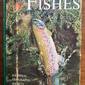 Può includere: Una copia vintage di "The Book of Fishes" della National Geographic Society. La copertina presenta una trota iridea che salta fuori dall'acqua, circondata da fogliame verde. Il titolo è in grandi lettere bianche.