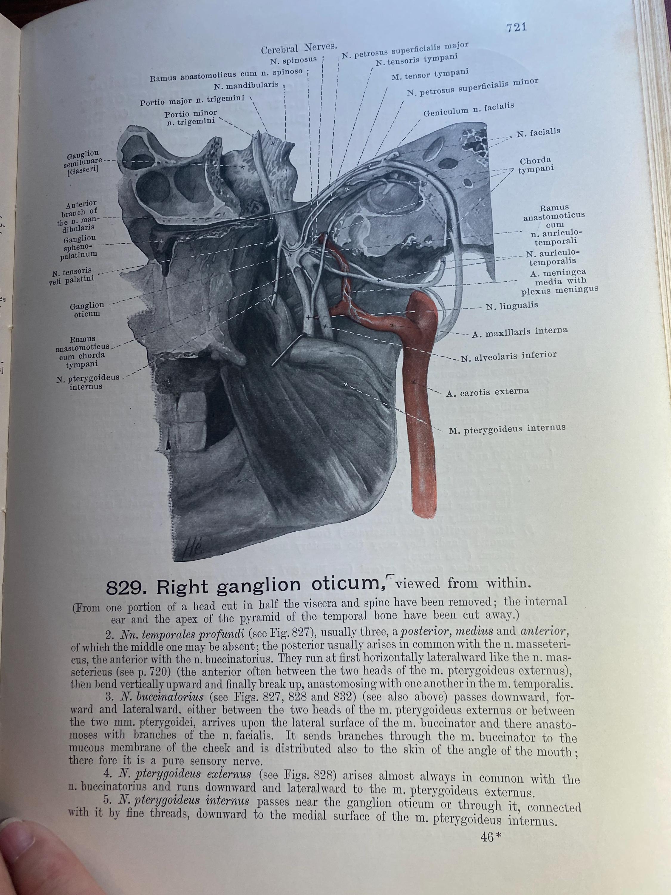 Hand Atlas of Human Anatomy - Volume III Viscera Brain Nerves