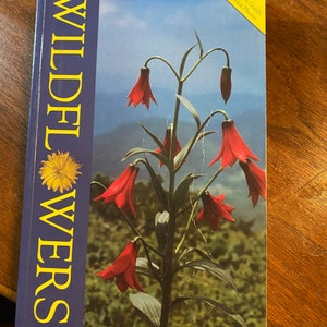 WildFlowers of the Southern Mountains  United States - Richard Smith - 1998 - Identification Field Guide - Illustrations North America
