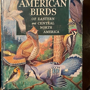 Natural History of American Birds of Eastern & Central North America - 1955 - Edward Forbush - Guide Birds&#39; nature, behavior, migration etc
