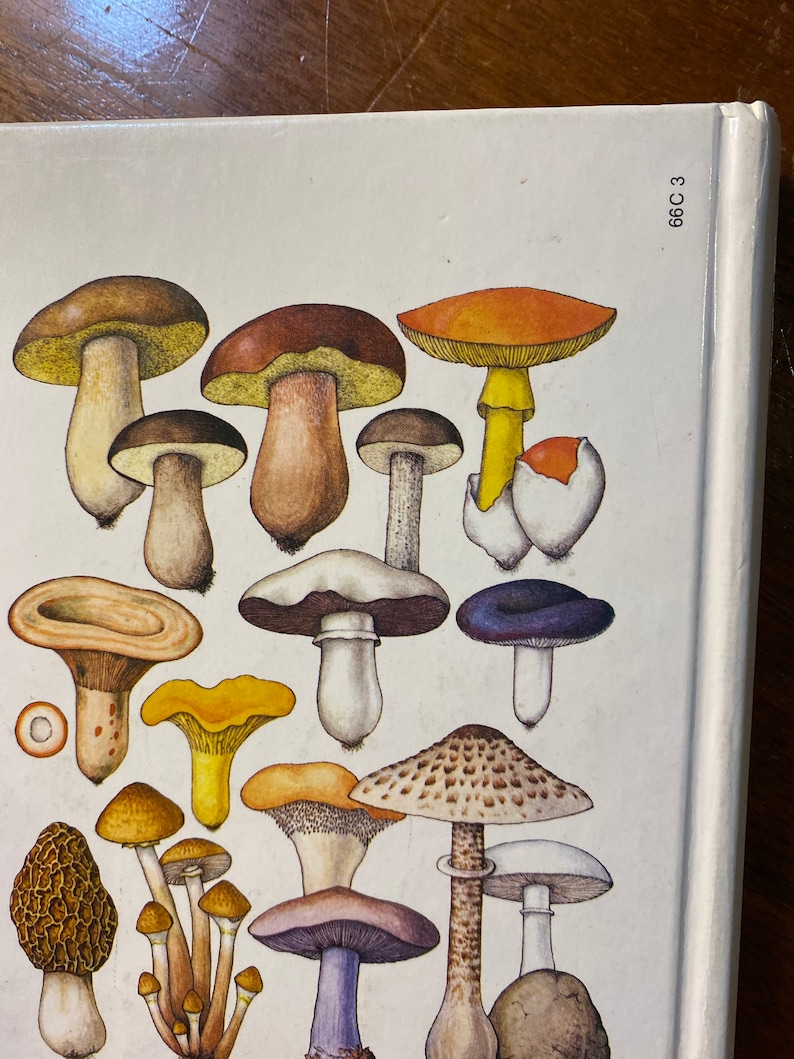 Puede incluir: Una ilustraci&oacute;n vintage de varios tipos de setas, incluyendo setas marrones, blancas, amarillas, naranjas y moradas con diferentes formas y tama&ntilde;os. La ilustraci&oacute;n est&aacute; sobre un fondo blanco con el n&uacute;mero 68C 3 en la esquina superior derecha.