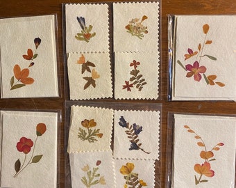 May include: Set of ten cards featuring pressed flowers and leaves. The cards are white with a textured finish. The flowers are in various shades of brown, orange, red, and purple.