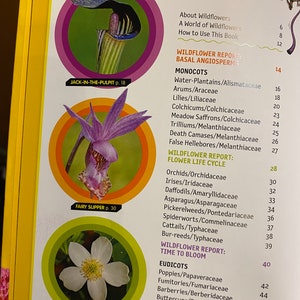 Wildflowers Ultimate Explorer Field Guide National Geographic Kids ...