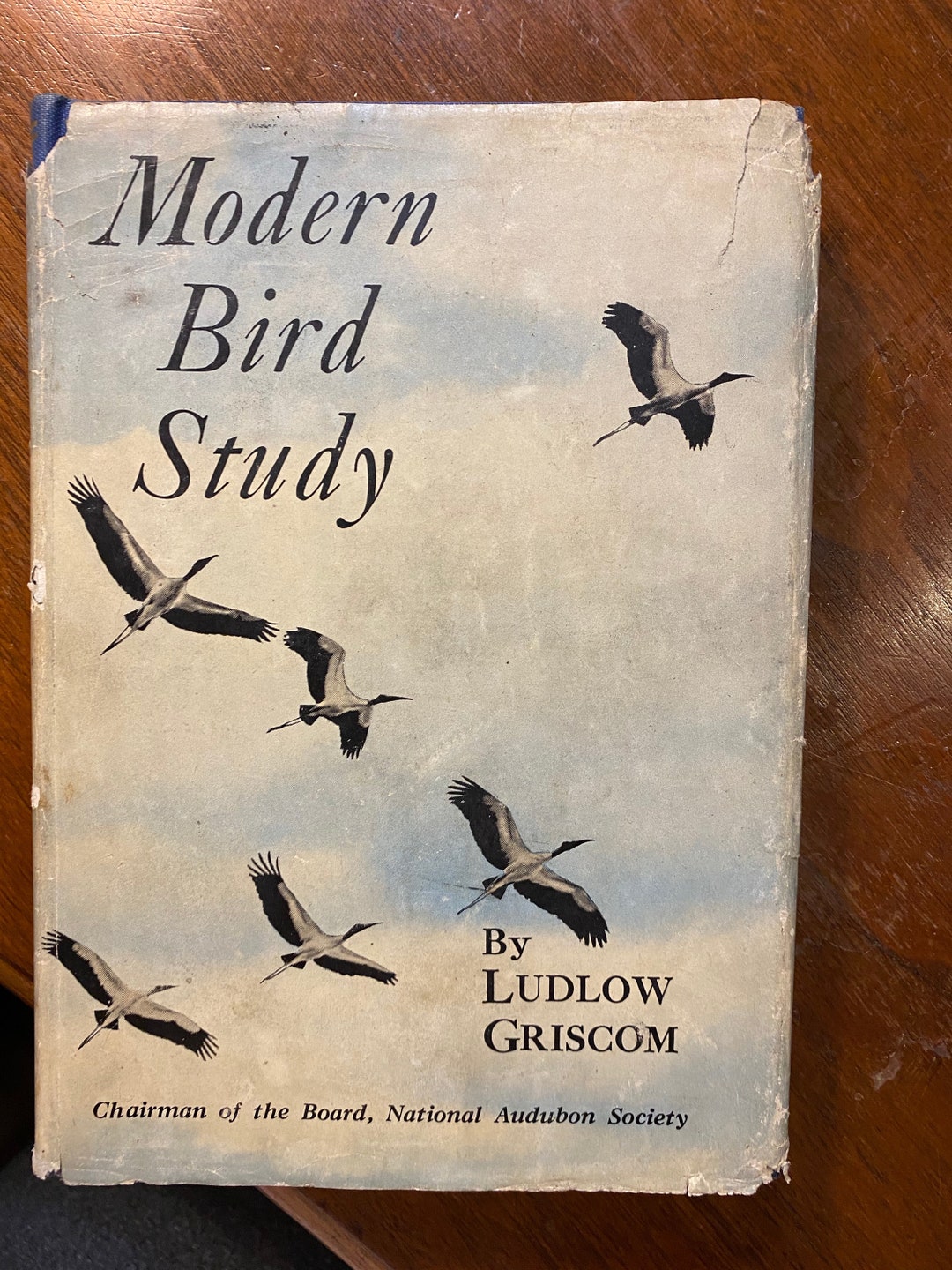 Modern Bird Study Ludlow 1945 Ornithology Study of Bird