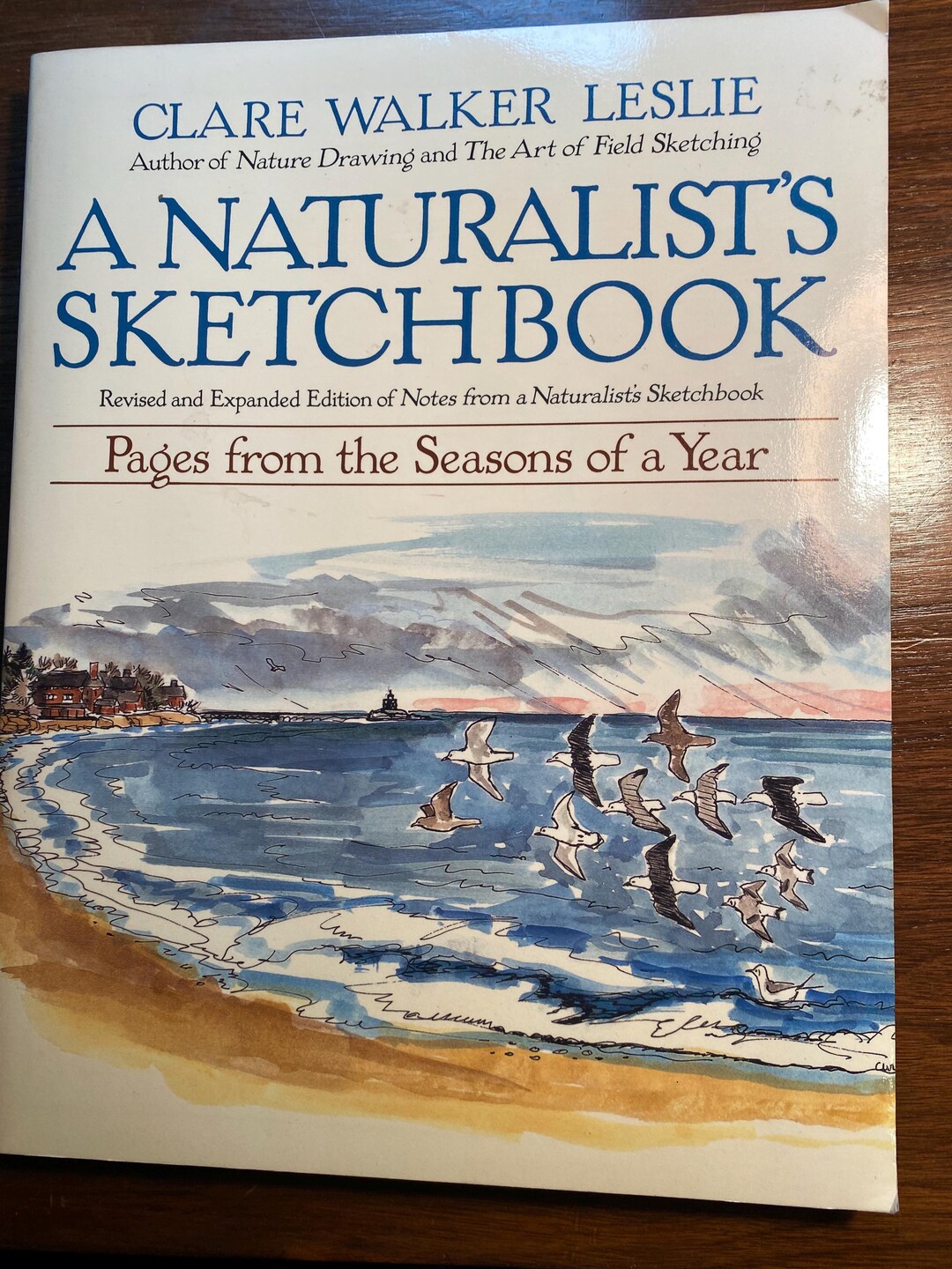 A Naturalist's Sketchbook Pages From Seasons of a Year Clare