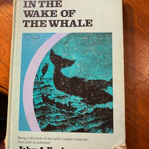 In The Wake Of The Whale - Marine Life - John Barbour -  1969 -  Information Facts - Reference