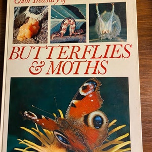 Color Treasury of Butterflies & Moths - Michael Tweedie - 1972 - Characteristics - Identification - Types  - Habitat -  color pictures