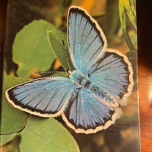 May include: A book titled "Butterflies" by Thomas C. Emmel, featuring a close-up photograph of a blue butterfly with white edging on its wings, perched on a green leaf.