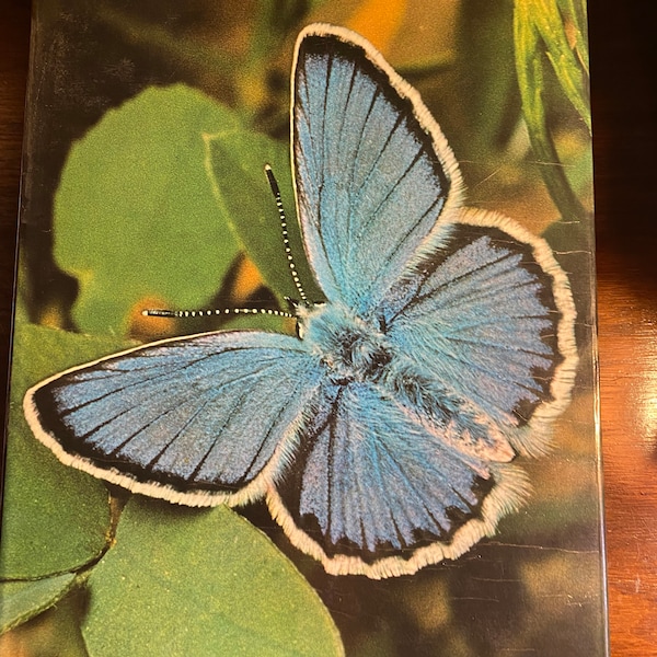 Wonderful World of Butterflies and Moths - Robert Goodden - 1977 - Characteristics - Identification - Types  - Habitat -  color pictures