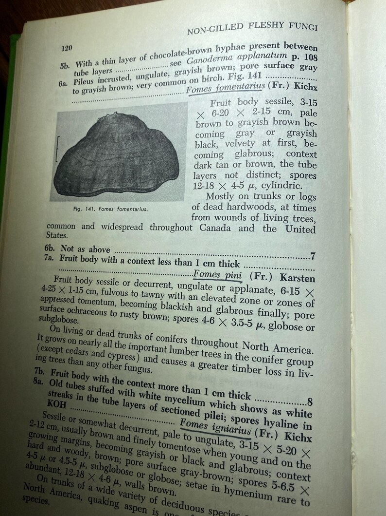 How To Know The Non-Gilled Fleshy Fungi - Mushrooms - Helen / Alex Smith - 1973 - Mycology - Characteristics - Identification - Botany - image 5